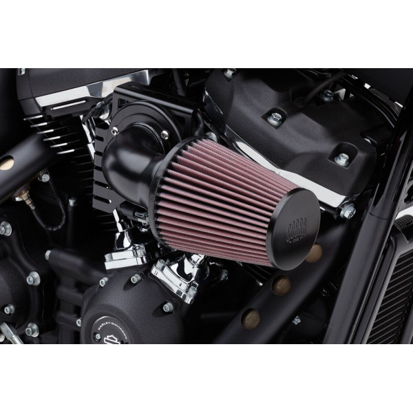 COBRA - AIR FILTER CN B/B 08-16FL