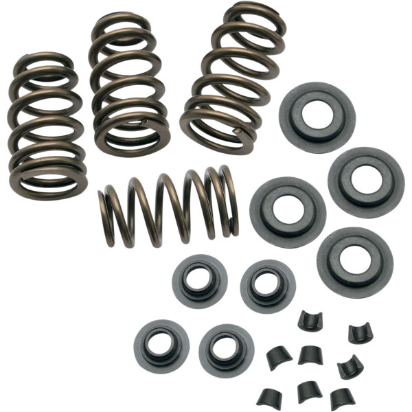 S&S CYCLE - KIT DE RESORTE .650 84-04