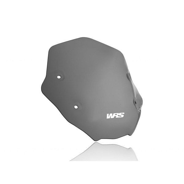 WRS - WSCRN SPORT R1250R DSMK